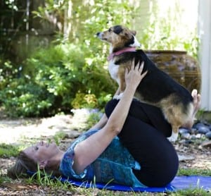 yoga classes in houston tx