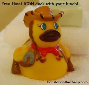 hotel icon duck 