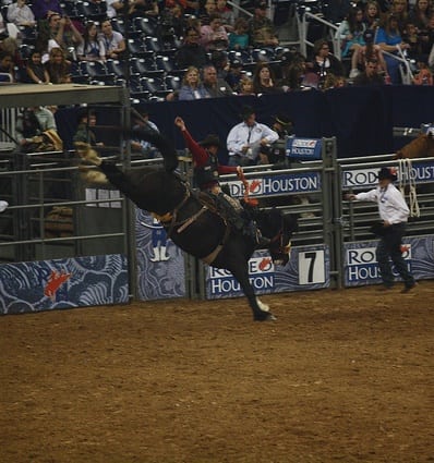 Houston Rodeo Pictures 52