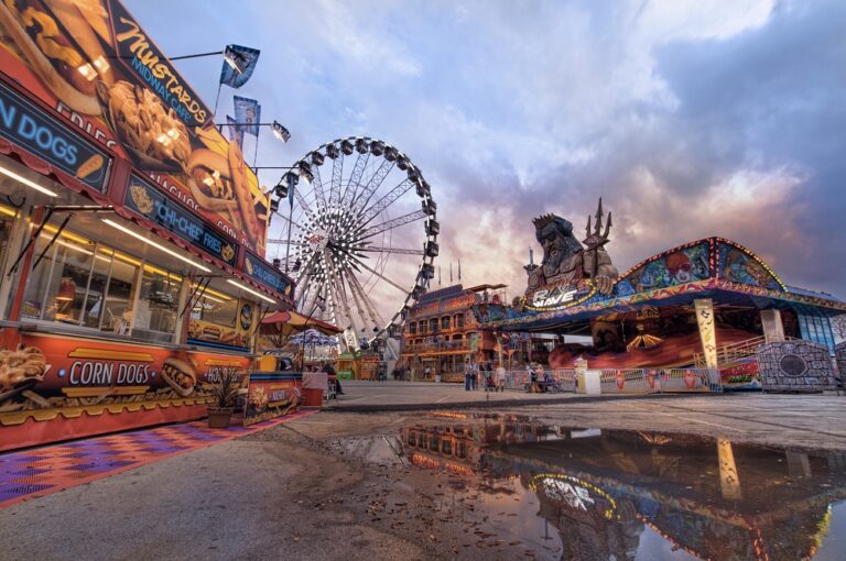 Houston Rodeo Carnival Tickets