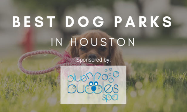29 Best Dog Parks in Houston, Texas: A Complete Guide
