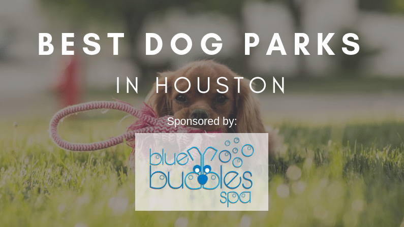 Best Dog Parks in Houston