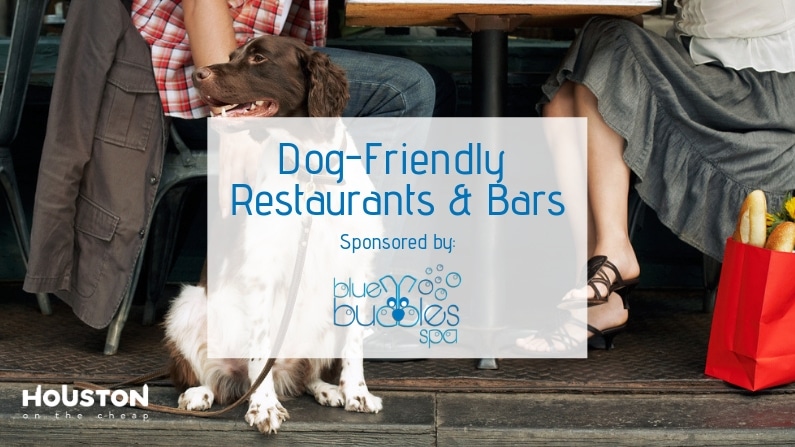 best dog friendly bars and restaurants in houston