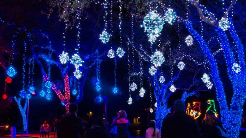 Moody Gardens Festival of Lights 2021: Dates, Hours, Discounts, and More