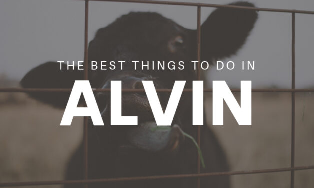 The Best Cheap and Free Things to Do in Alvin