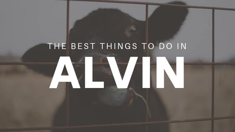 The Best Things to Do in Alvin, TX