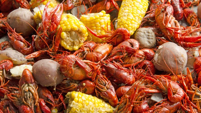 The 23rd Bayou City Cajun Festival Comes to Traders Village April 6-7