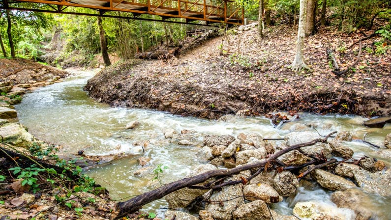 Houston Arboretum & Nature Center Opens New Inner Loop Hiking Trail
