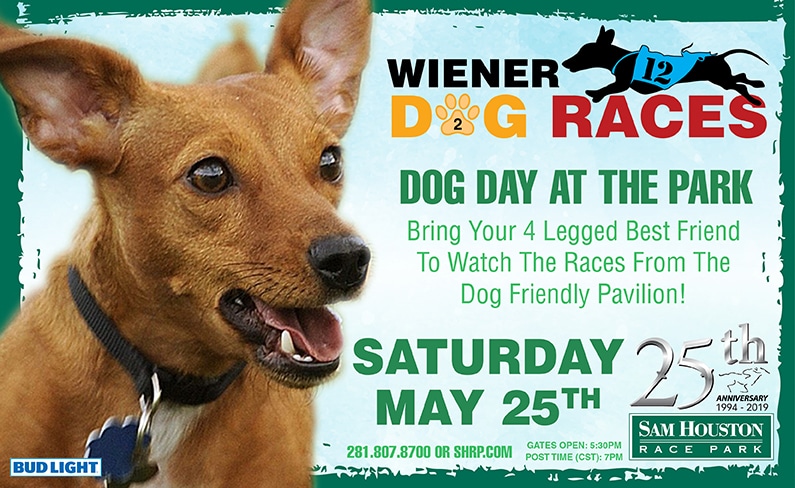 Don’t Miss the 2019 Wiener Dog Races at Sam Houston Race Park This Weekend
