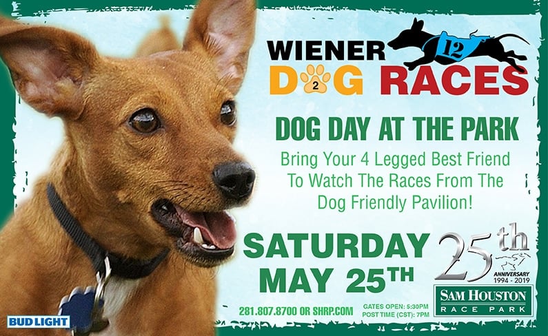 wiener dog races sam houston race park