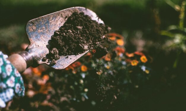 Develop Your Green Thumb With These Free Gardening Classes