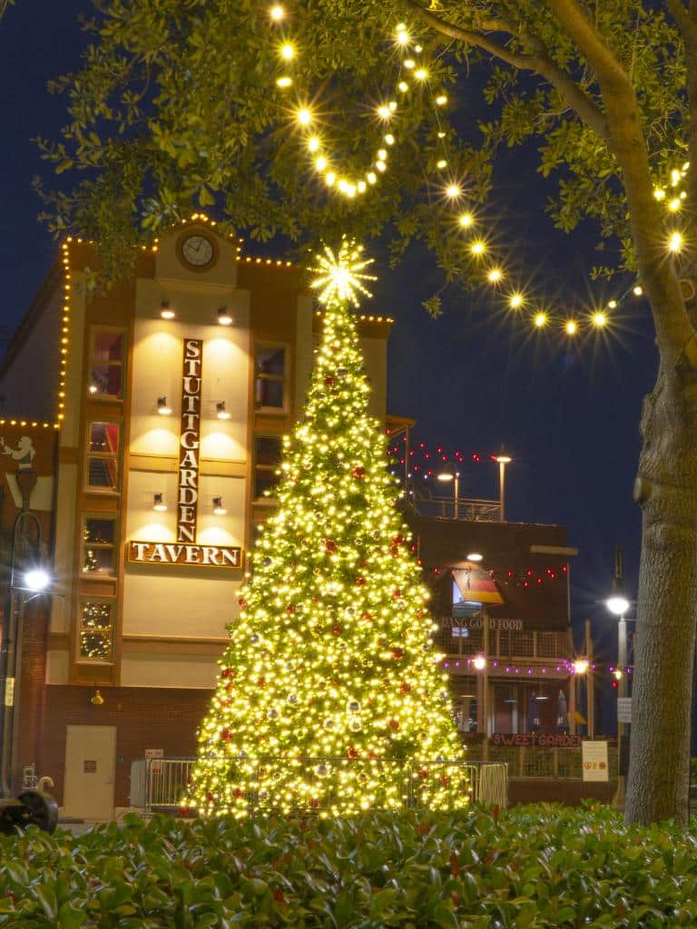Things to do in Galveston this December - Island Holiday Tree Decorating Contest