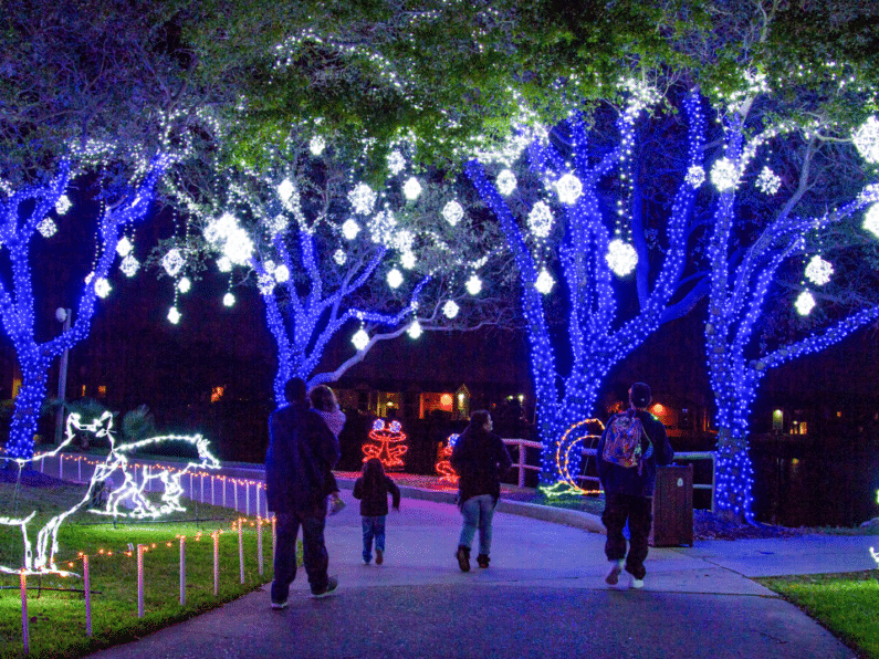 Things to do in Galveston in December - Festival of Lights at Moody Gardens