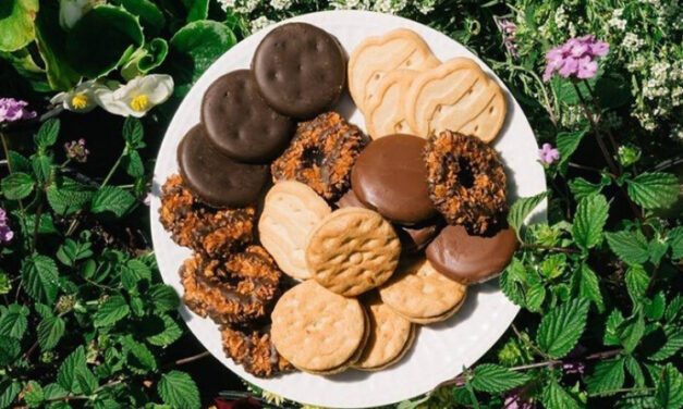 Girl Scout Cookies Are Now Available for Home Delivery