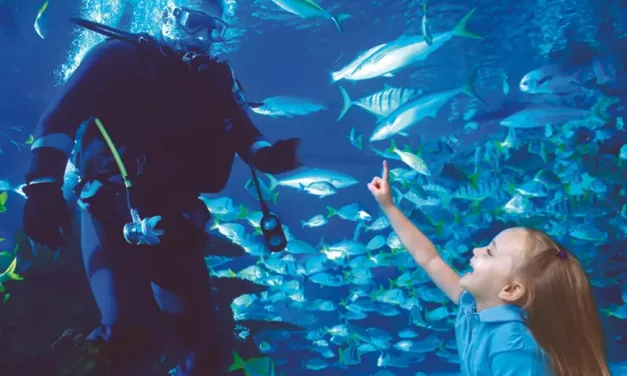 Downtown Houston Aquarium Coupons and Discount Tickets: 7 Ways to Save Big