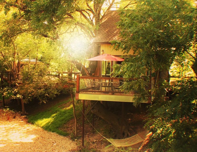You Can Stay the Night in a Treehouse Next to the River