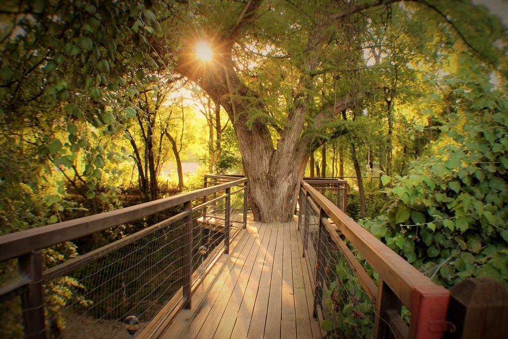 treehouse