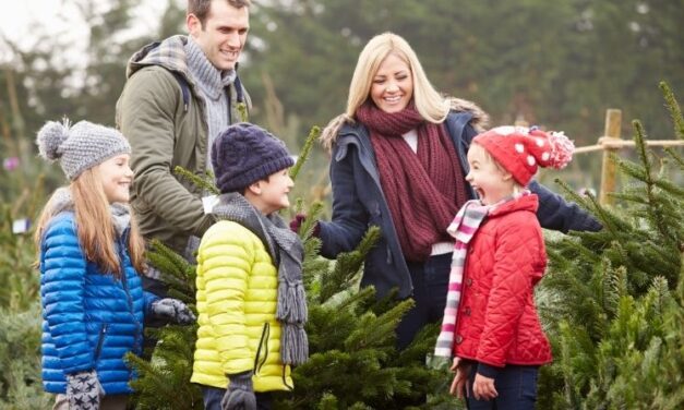7 Houston Christmas Tree Farms – Cut Your Own Or Buy Fresh Cut Trees In 2021