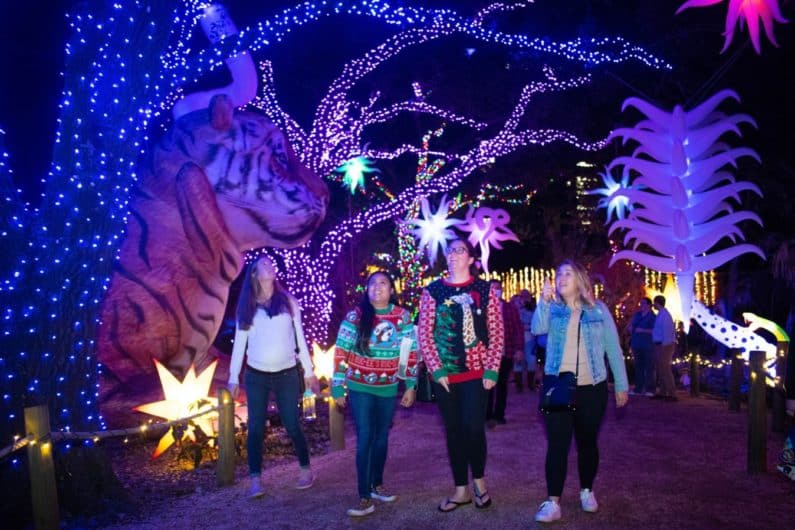 Houston Zoo Lights Enchanted Forest