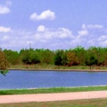 dog walking trail