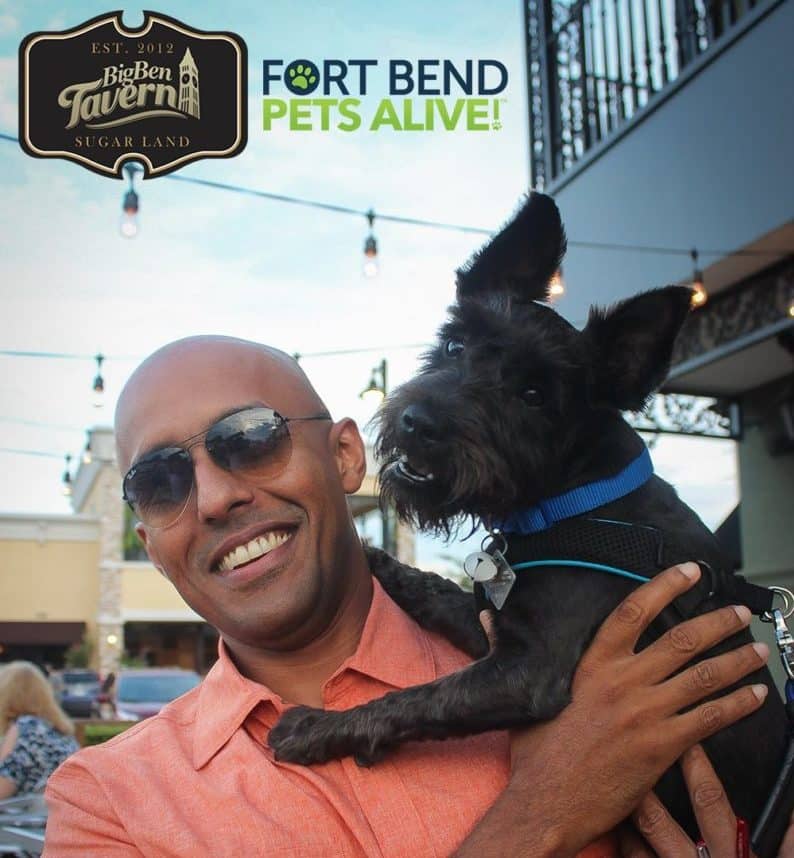 Dog Friendly Restaurants Houston - Big Ben Tavern