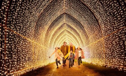 Internationally acclaimed Lightscape adds a special glow to the Houston Botanic Garden this holiday season