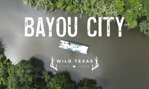 Texas Parks & Wildlife Film Bayou City Nominated for Award