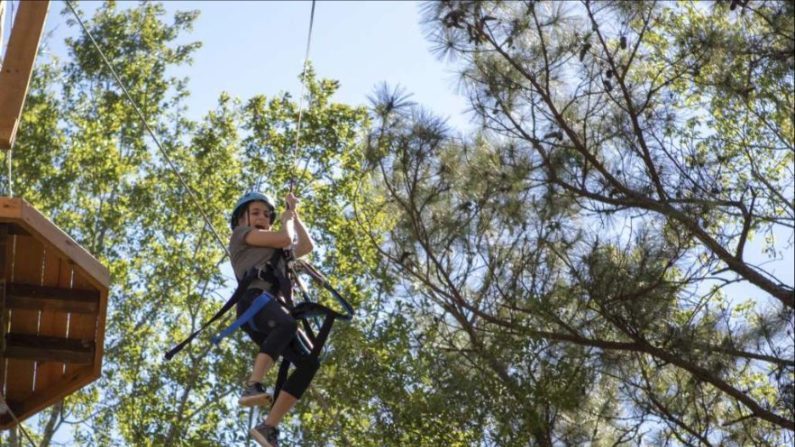 Things to Do in The Woodlands | Texas Tree Ventures