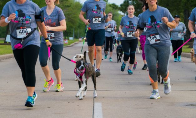 Pearland Parks & Recreation Presents: Ruff Runner & Yappy Hour!