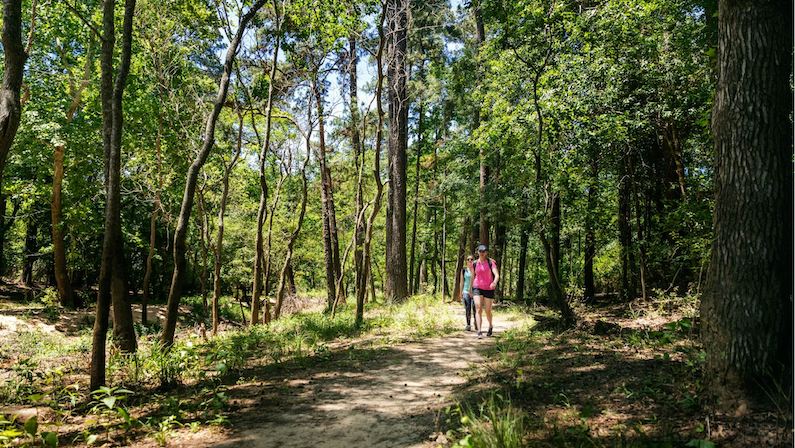 Things to Do in The Woodlands