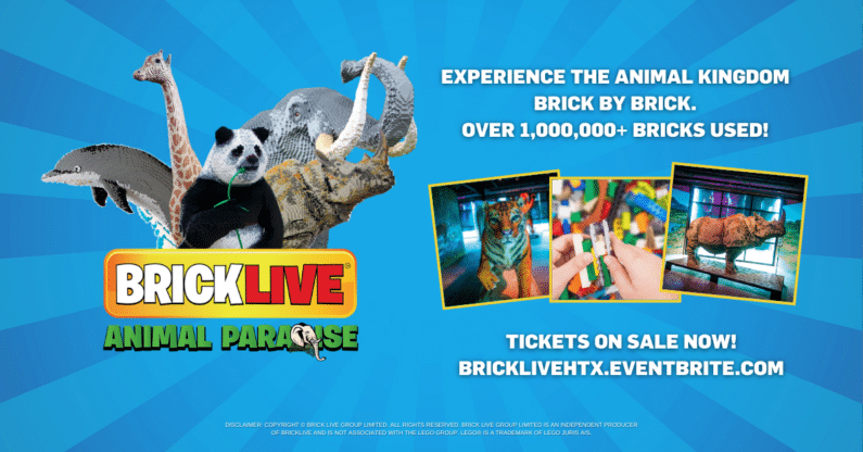 BRICKLIVE Animal Paradise – Animal Statues, Photo-friendly Backdrops, And More!
