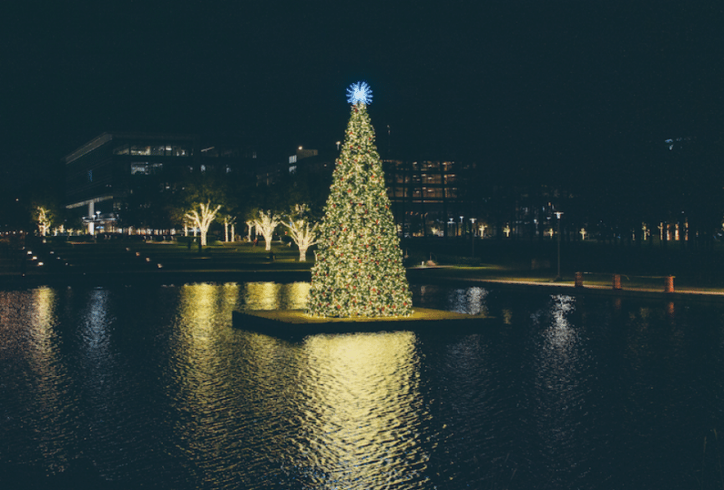 Floating Christmas Tree At City Palace
