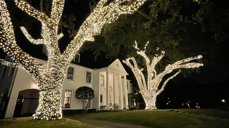 Stunning all white holiday lights