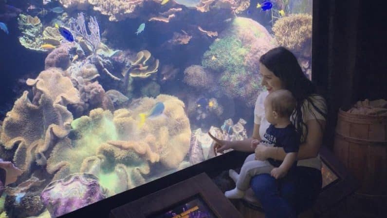 Mother's Day Brunch at Downtown Aquarium Houston