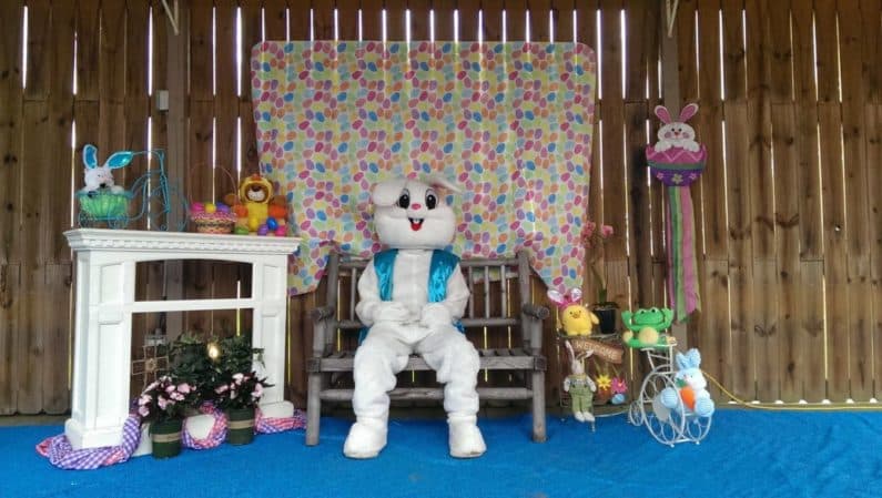 Easter Egg Hunt Houston 2023 - Easter at 7 Acre Wood