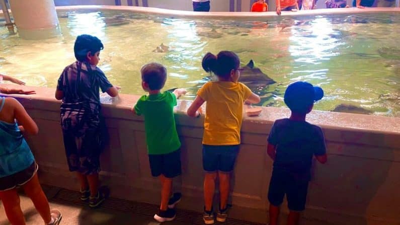 Kids at Kemah Aquarium