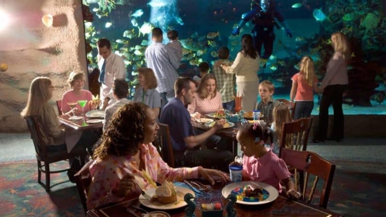 Kid Friendly Restaurants in Houston: Best Places to Eat With Children and Family 3 Downtown Aquarium Houston