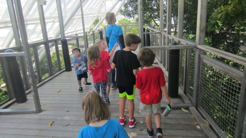 Pyramid kids summer camp