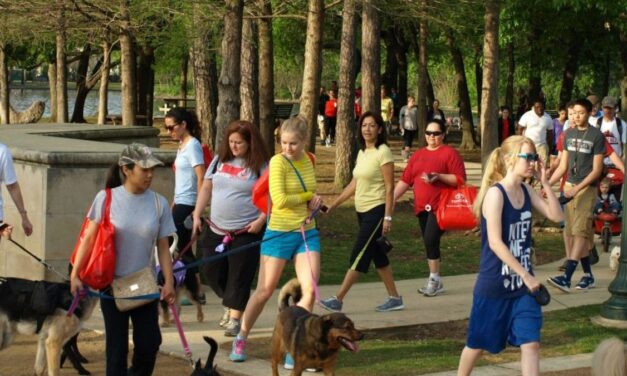 Dog friendly hiking trails in Houston – 10 best places to hike with dogs – near you!