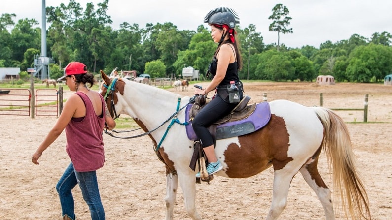 Horse riding lessons in Houston - Cypress Trails Equestrian Ranch