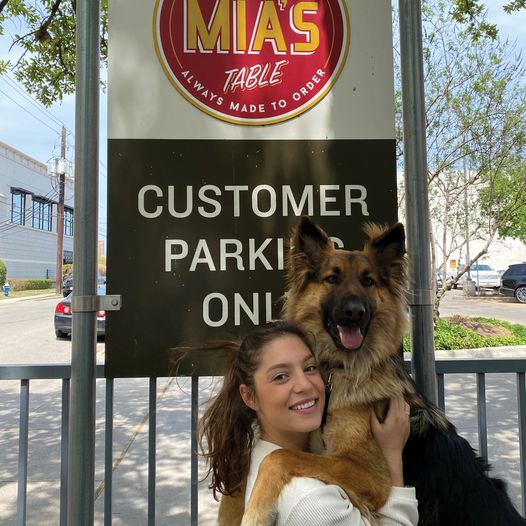dog friendly restaurants in houston - Mia's Table 