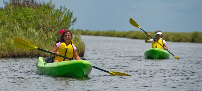 Best Outdoor Activities in Houston - Sea Rim State Park