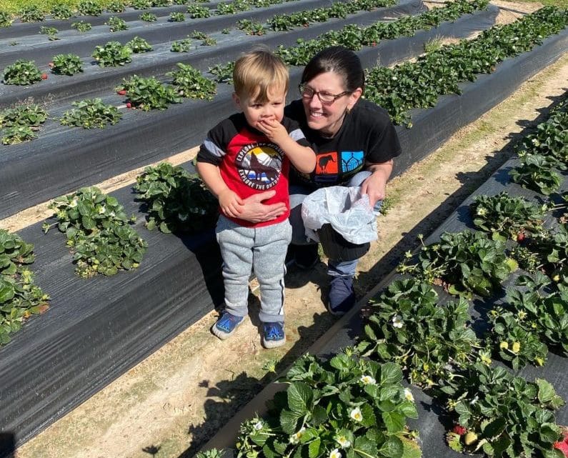 strawberry picking farms in Houston - Wood Duck Farm