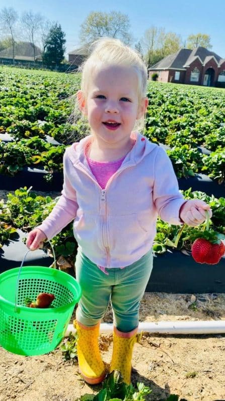 strawberry picking farms in Houston - Atkinson Farms