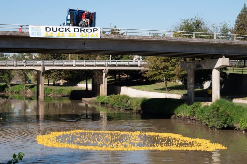 Top 10 things to do in Houston with kids this weekend of November 4, 2022 include Centennial Saturdays, Tot Spot: Component Exploration Pop-Up, and more! 7 AFA's Bayou City Duck Race