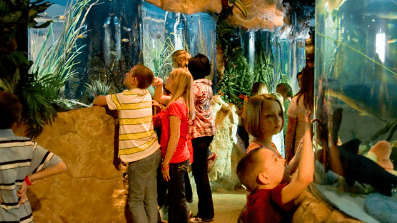Things to do in Kemah - Aquarium Restaurant