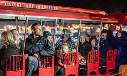 Top 10 things to do in Houston with kids this weekend of December 2, 2022 include Alvin Christmas Train 2022, Holiday Festival at Levy Park, and more!