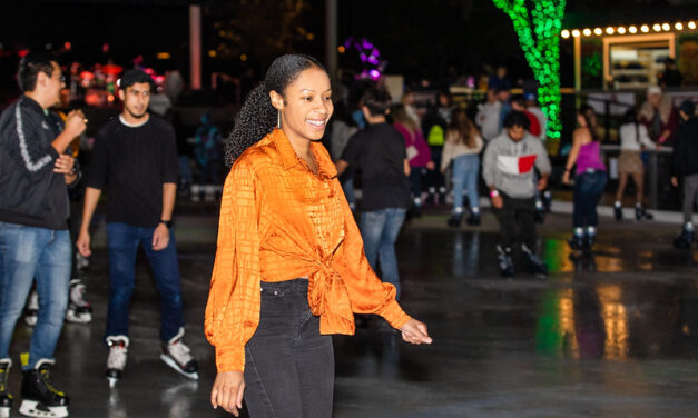 12 Fun things to do in Houston this week of November 28, 2022 include College Student Nights at Green Mountain Energy Ice, Cistern Illuminated, and more!