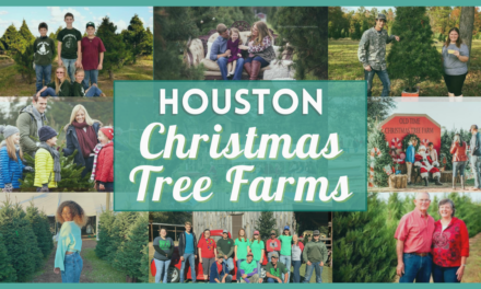 Christmas tree farm Houston 2022 – Best farms for real, fresh, cut trees near you!