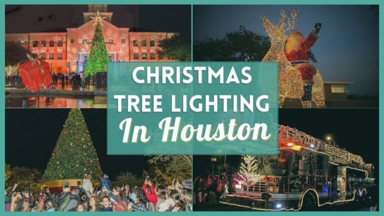 Christmas Tree Lighting Houston